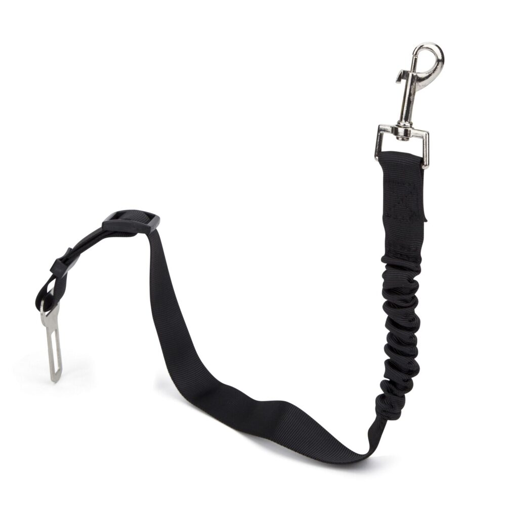 Pet Safety Belt Object